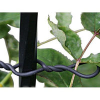 第一ビニール バラ用やわらかバンド Φ2.5mm 10m 4968438016788 1セット(5個)（直送品）