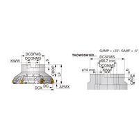 タンガロイ TAOW05 TAOW05M063B22.0R05 1個（直送品）