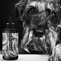 アントレックス PRIDE＋GROOMノンシェダー ペットシャンプー 475ml 850017452015 1個（直送品）