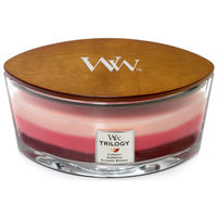 カメヤマ トリロジーハースウィックL フルーツ 2057577 1個（直送品）