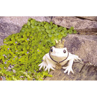 キシマ KH-60947 トード ガーデンオーナメント 1個（直送品）