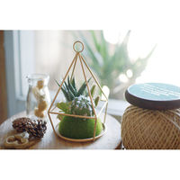 キシマ KH-61068 エクリア 消臭アーティフィシャルグリーン 1個（直送品）