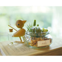 キシマ KH-61136 エクリア 消臭アーティフィシャルグリーン 1個（直送品）