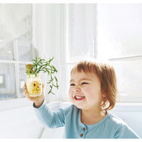 キシマ KH-61154 アーティフィシャルグリーン Taylor 1個（直送品）