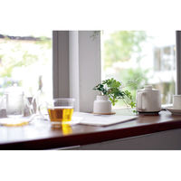 キシマ KH-61254 エクリア 消臭アーティフィシャルグリーン　1個（直送品）