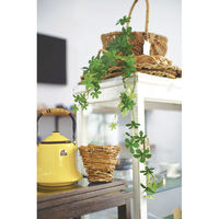 キシマ KH-61263 エクリア 消臭アーティフィシャルグリーン 1個（直送品）