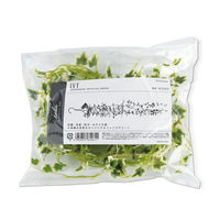 キシマ KH-61261 エクリア 消臭アーティフィシャルグリーン 1個（直送品）