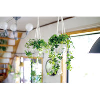 キシマ KH-61266 エクリア 消臭アーティフィシャルグリーン 1個（直送品）