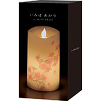 カメヤマ S7686-10-30 いろはあかり桜 1セット（直送品）