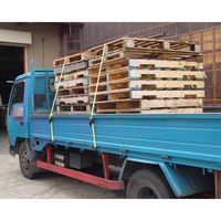 新潟精機 荷締めベルト 5m NBー5R NB-5R 1セット(2個:1個×2本)（直送品）