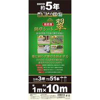 藤原産業 セフティー3 高密度防草シート 翠 1×10m 1X10m 1個(1枚)（直送品）