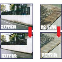 アルタン 屋外のコケ・カビ除去用 アウトドアクリーナー 2L 9416716096038 1本（直送品）