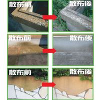 アルタン 屋外のコケ・カビ・地衣植物除去用 ワンステップ・スプレー・クリーナー 2L 9416716096052 1本（直送品）