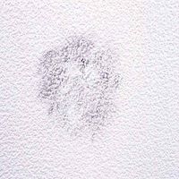 建築の友 クロスタッチ ホワイト 20mL CT-01 1セット(2個)（直送品）