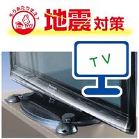 シナジー 激吸着 免震吸盤 TV用 約83×158×43 GKM-1 1個（直送品）