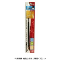 藤原産業 SK11 精密マイクロナイフ PNMー5 サンカクバ 1個（直送品）