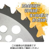 藤原産業 セフティー3 ハイグレードチップソー 255mm×40PJIS 255mmX40PJIS 1セット(2枚)（直送品）