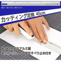 ライオン事務器 アルミカッティング 定規 45cm AL-45 27161 1本