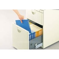 ライオン事務器 カラーファイル No.800 A4 赤 12835 1冊