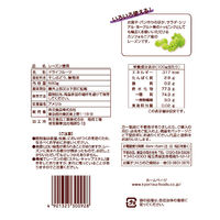 共立食品 レーズン徳用580g 1袋