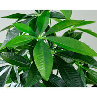 YAMAZEN SIMPLANTS フェイクグリーン FG-PACHI120 1個（直送品）