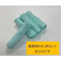 日繊商工 抗菌防臭カラーの業務用オシボリタオル SKG113-GR-240 1箱(240本入)（直送品）