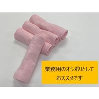 日繊商工 抗菌防臭カラーの業務用オシボリタオル SKG113-P-240 1箱(240本入)（直送品）