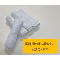 日繊商工 抗菌防臭カラーの業務用オシボリタオル SKG113-W-360 1箱(360本入)（直送品）