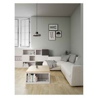 コンテナボックス 22L 幅32×奥行32×高さ30cm b.c.l ビーシーエル ブラック 358894 1個（直送品）