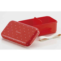 スケーター お弁当箱 1段 580ml おかずのっけ弁当箱 キャスミン レッド 381919 1個（直送品）