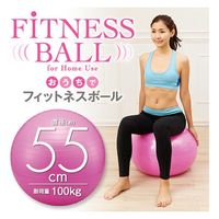 アイメディア バランスボール 55cm おうちでフィットネスボール 空気入れ付き 室内 運動 331328 1個（直送品）