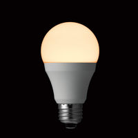 ヤザワコーポレーション（YAZAWA） 一般電球形 蓄光LED電球 60W形 E26 広配光 電球色 LDA8LGF
