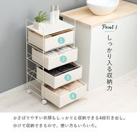 【軒先渡し】萩原 ランドリー 幅400×奥行300×高さ850ｍｍ ホワイト RAN-2435WH 1台（直送品）