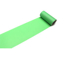 mt マスキングテープ 若緑　[100mm×7m] MT10W190 1個 カモ井加工紙（直送品）