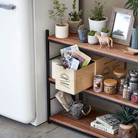 杉田エース DAILY IZAMESHI CZZ652725 1セット（直送品）