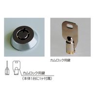 杉田エース メーター点検口(カムロック錠)SKーSPWー30 BV3800532 1枚（直送品）