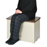 ケイ・ジー・ワイ工業 リシム 宅配ボックス ベンチ THB-650 幅650×奥行375×高さ470mm ベージュ 0229710 1台（直送品）