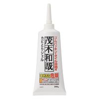 茂木和哉 カビとりジェル ゴムパッキン・タイル目地用 200g 1セット（2個） レック