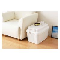 SANKA 収納ボックス 座れる 幅59×奥行39×高さ38cm ベリアスボード M 日本製 ホワイト 302292 1個（直送品）