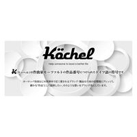OPUS ティッシュケース Kochel ステンレス 壁掛け 卓上 ブラック 309449 1個（直送品）