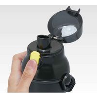 スケーター 水筒 抗菌 直飲み プラボトル ミズノ 480ml 子供 346877 1個（直送品）