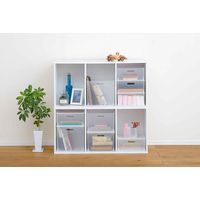 SANKA カラーボックス 横置き インナーボックス 収納 squ+ 1/3 インボックス プラスチック 日本製 クリア 305761 1個