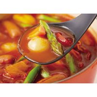 サンクラフト お玉 ナイロン製 おしゃべりビストロ オレンジ 330396 1個（直送品）