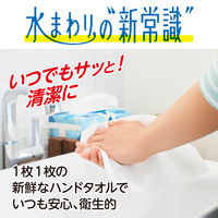 ペーパータオル エリエール プラスキレイペーパータオル コンパクトタイプ 200W 1箱（50個:5個入×10パック）大王製紙