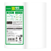 王子ネピア ネピア激吸収キッチンタオル100カット 4901121334196 1セット(2巻×24点セット)（直送品）
