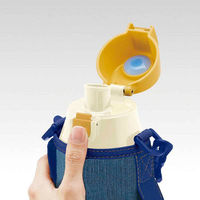 スケーター 水筒 ステンレス 直飲み ワンタッチ ダイレクトステンボトル となりのトトロ 990ml 332203 1個（直送品）