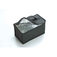 スケーター ランチバッグ 保冷 2段弁当用 保冷剤付き 161604 1個（直送品）