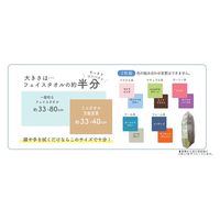 おぼろタオル OBORO ミニタオル万能宣言 ナチュラル系 219271 1組(2枚)（直送品）
