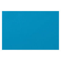 【軒先渡し】ライオン事務器 スタッキングチェアー ハープ ティールブルー No.１７８０ＮＳーＷ　 1脚（直送品）