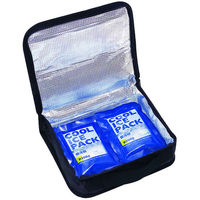 スケーター 弁当用保冷バック1段(織ネーム付) 161603 1個（直送品）